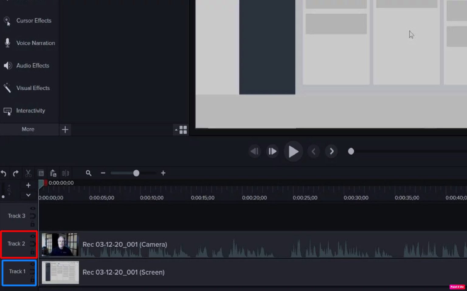 camtasia vs snagit record skype