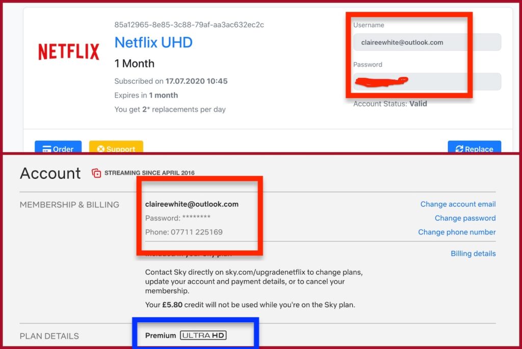free netflix account email and password 2021